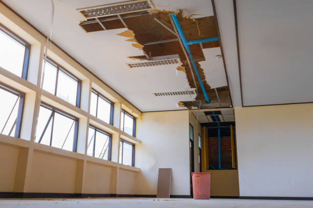 Best Basement water damage restoration  in Oakwood, GA