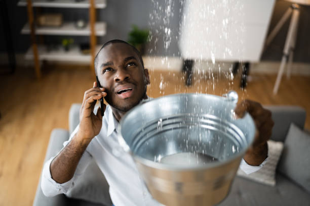 Best Mold removal after water damage  in Oakwood, GA