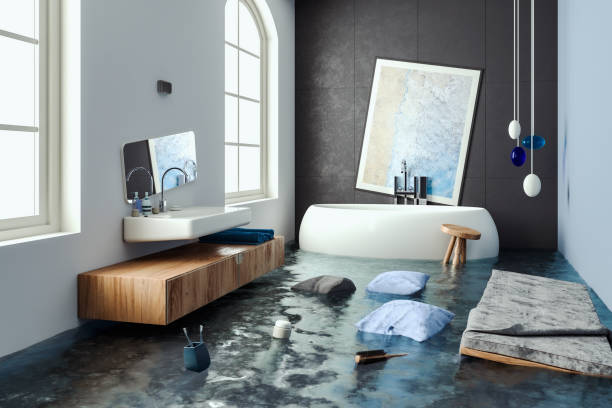 Best Professional water damage repair  in Oakwood, GA