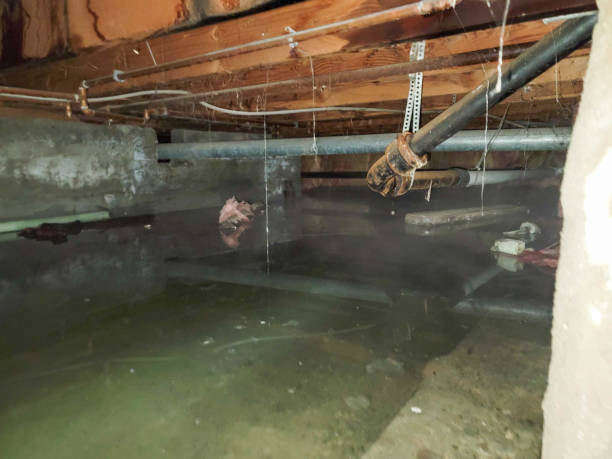 Best Water damage restoration near me  in Oakwood, GA