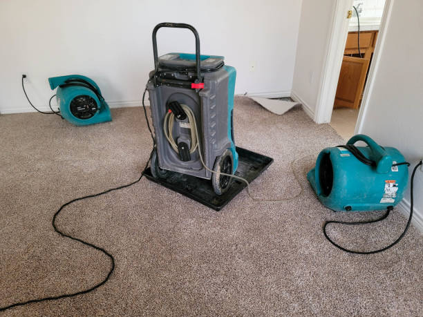 Best 24-hour water damage restoration  in Oakwood, GA