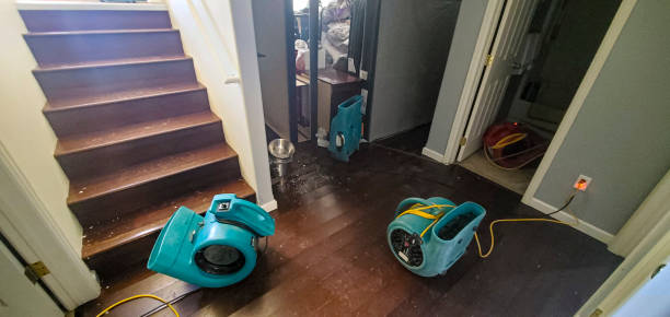 Best Water damage restoration specialists  in Oakwood, GA