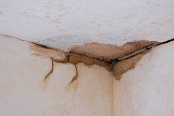 Best Flood damage cleanup  in Oakwood, GA