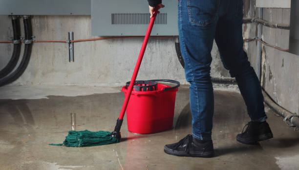 Best Water damage restoration near me  in Oakwood, GA