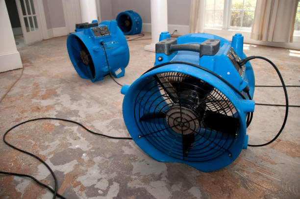 Best Fire Damage Restoration  in Oakwood, GA