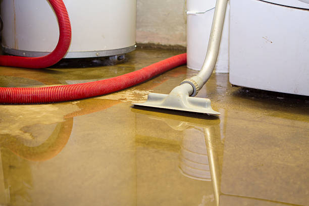 Best Flood restoration services  in Oakwood, GA