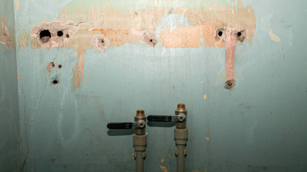  Oakwood, GA Water damage restoration Pros