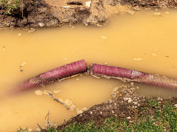 Best Water damage restoration near me  in Oakwood, GA