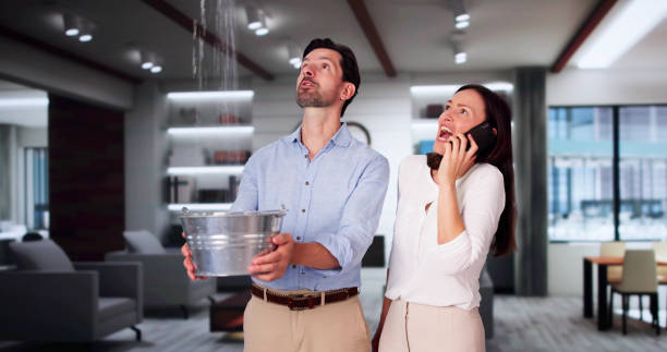 Best Ceiling water damage repair  in Oakwood, GA