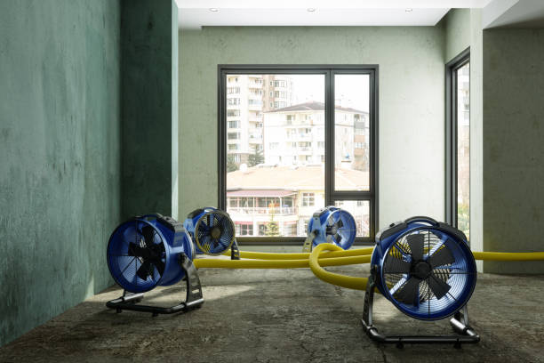 Best Commercial water damage restoration  in Oakwood, GA